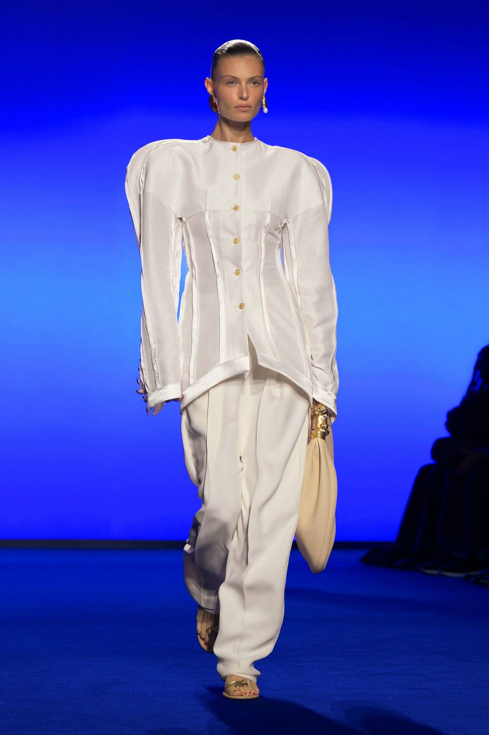 schiaparelli
