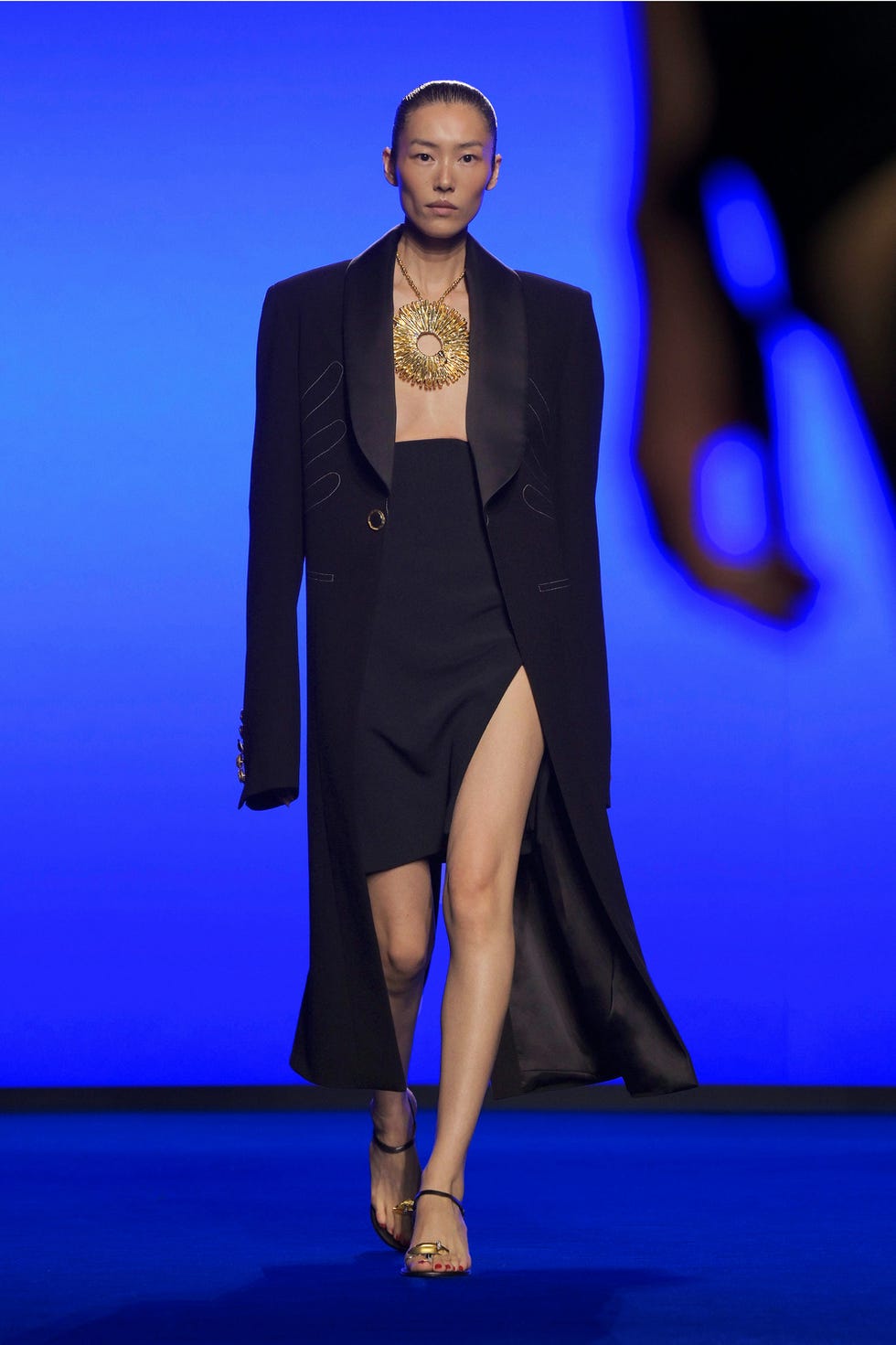 schiaparelli