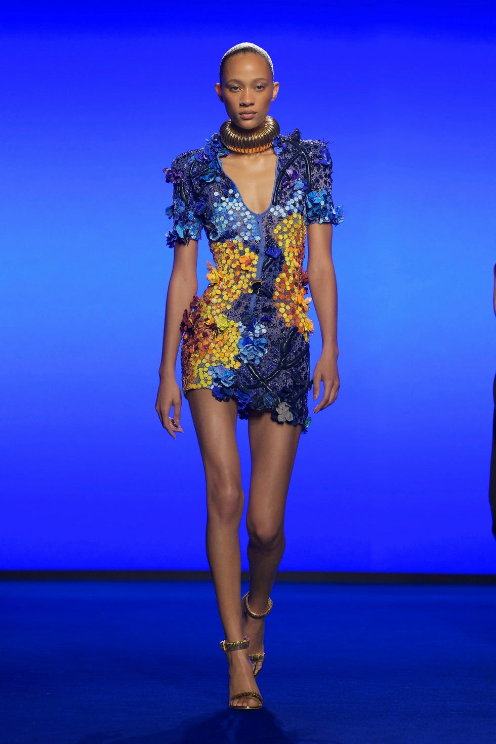 schiaparelli