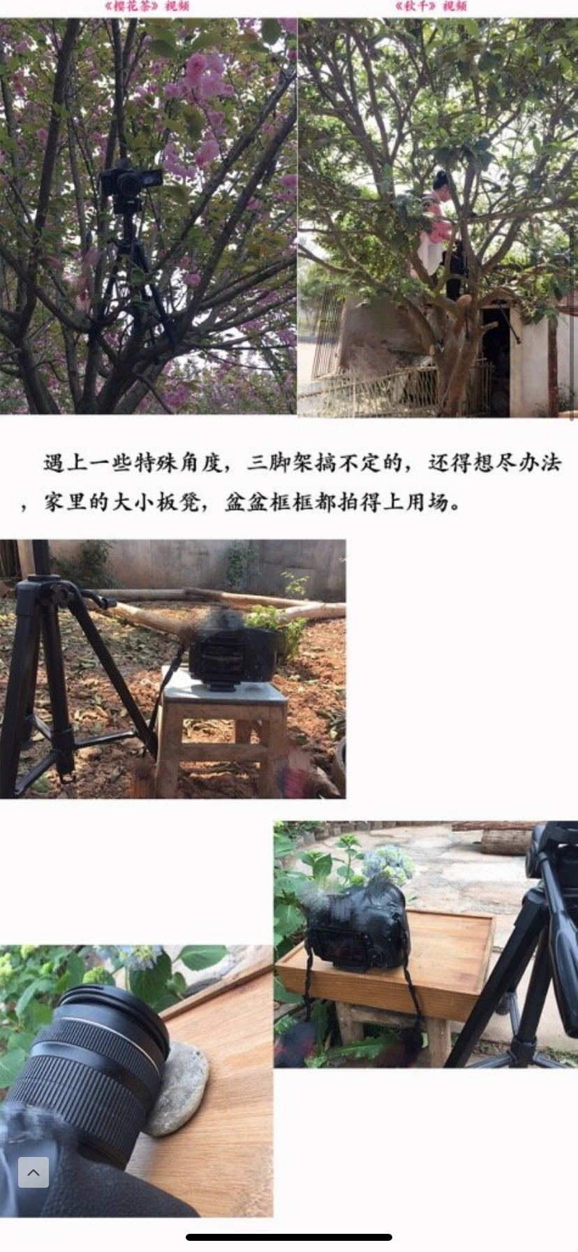 李子柒