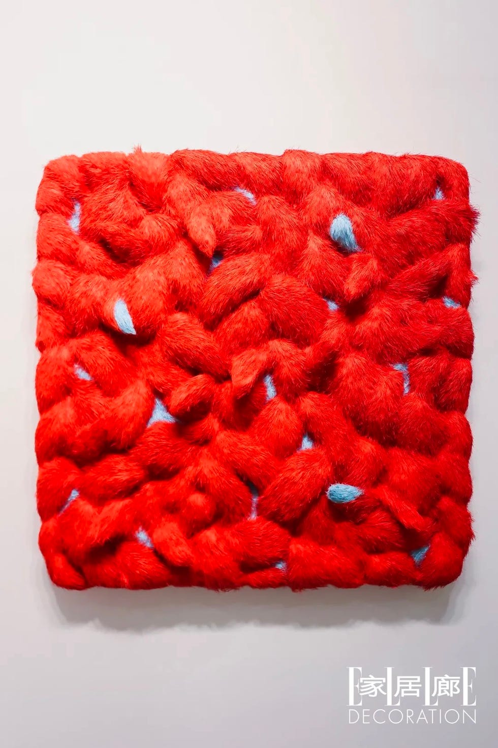 展览作品