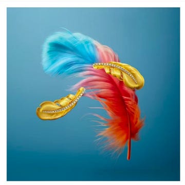 an artistic display of vibrant feathers and gold accents an artistic display of vibrant feathers and gold accents