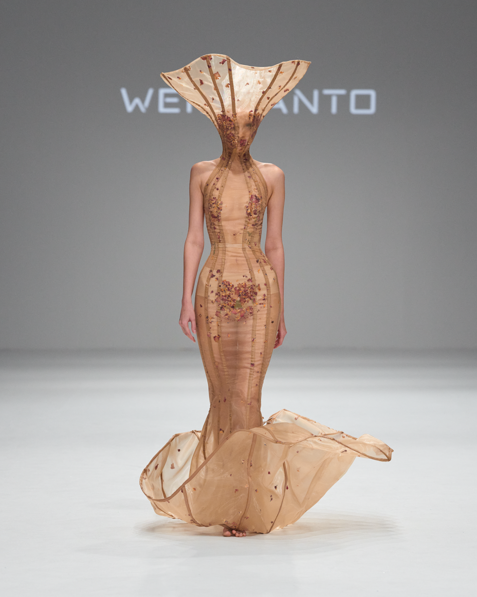 a person wearing a dress