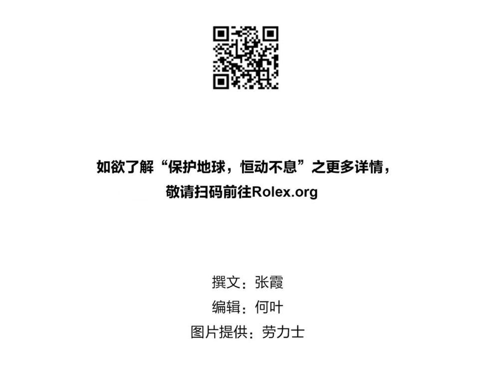 劳力士