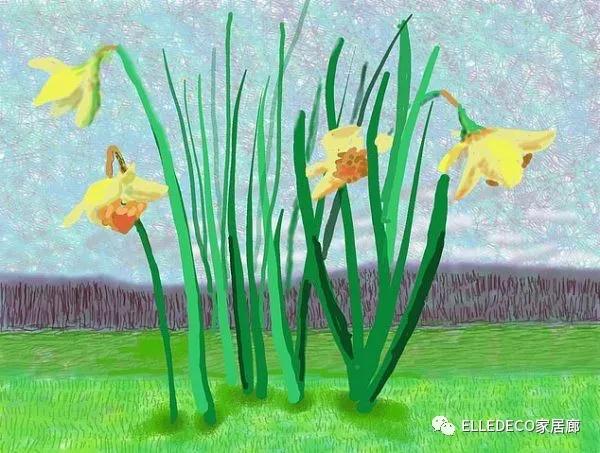 Flower, Plant, Narcissus, Botany, Grass, Plant stem, Amaryllis family, Flowering plant, Iris, Vascular plant, 