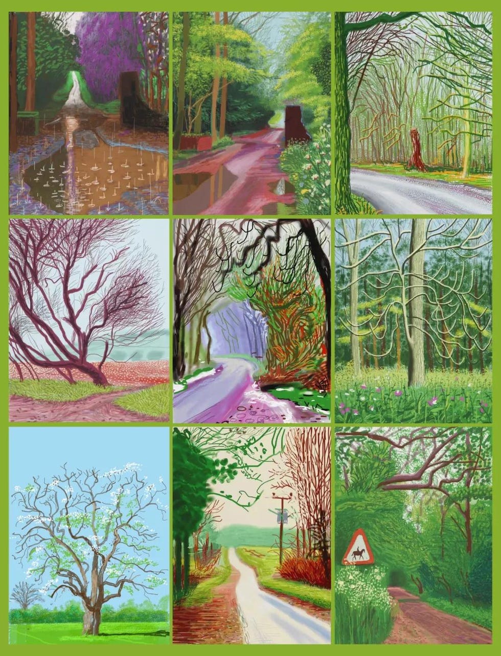 Nature, Green, Tree, Natural landscape, Botany, Spring, Adaptation, Organism, Leaf, Plant, 