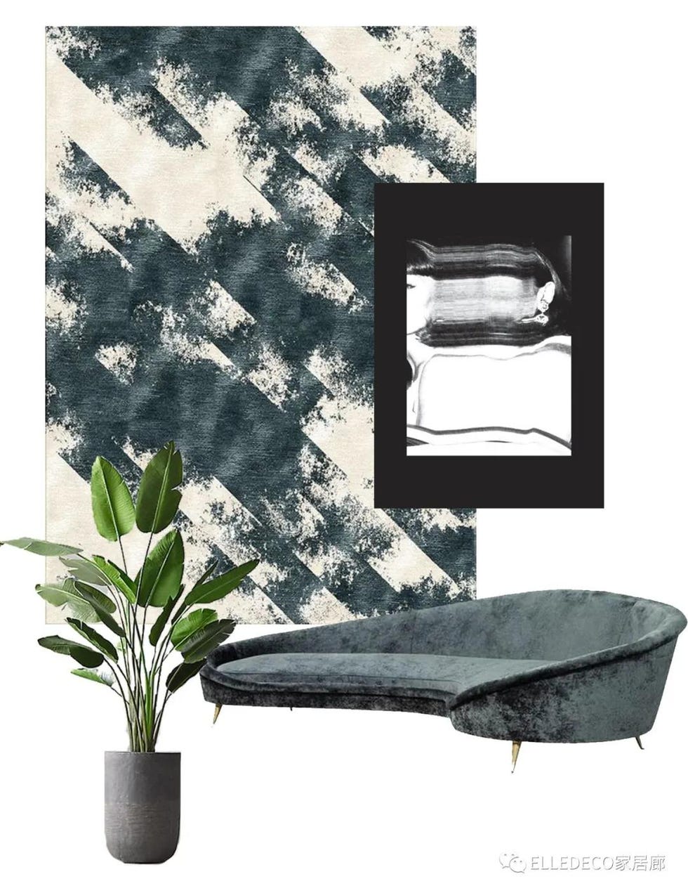 Black-and-white, Flowerpot, Plant, Room, Flower, Houseplant, 