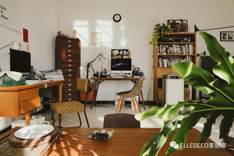 Room, Property, Living room, Furniture, Houseplant, Interior design, Building, Loft, Table, Office, 