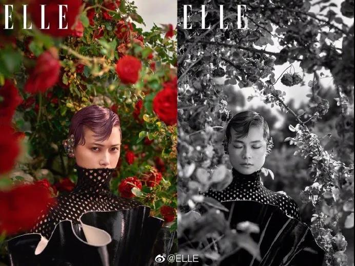 《世界时装之苑elle》2019年8月刊