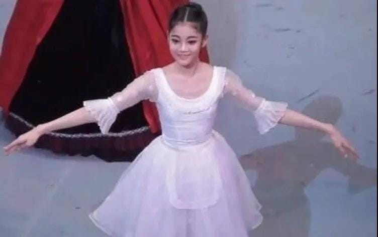 继承者们