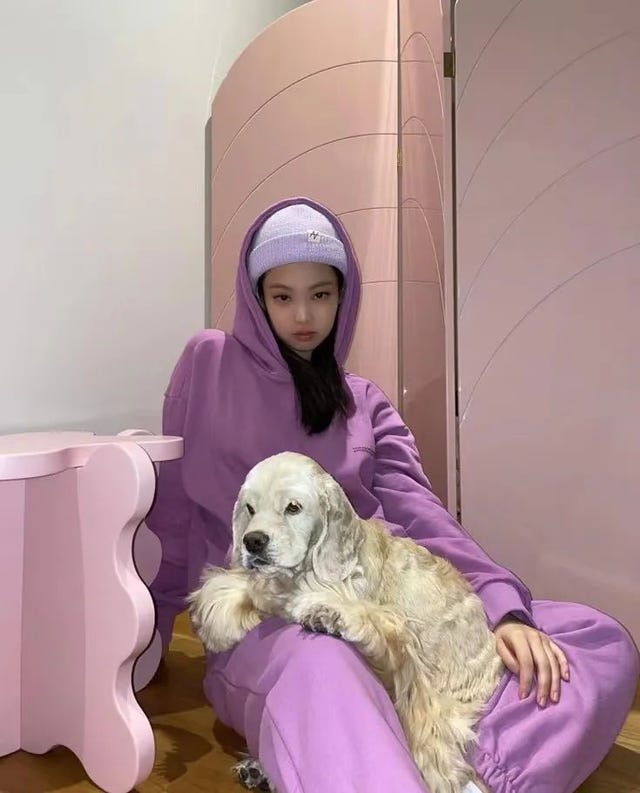 卫衣