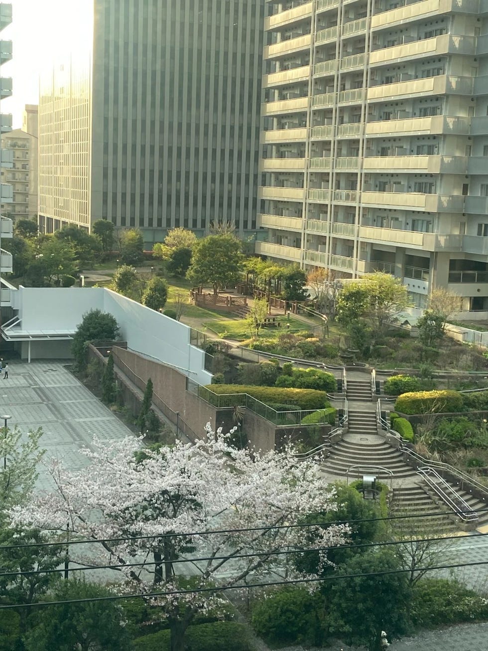 小黑的公司走廊外