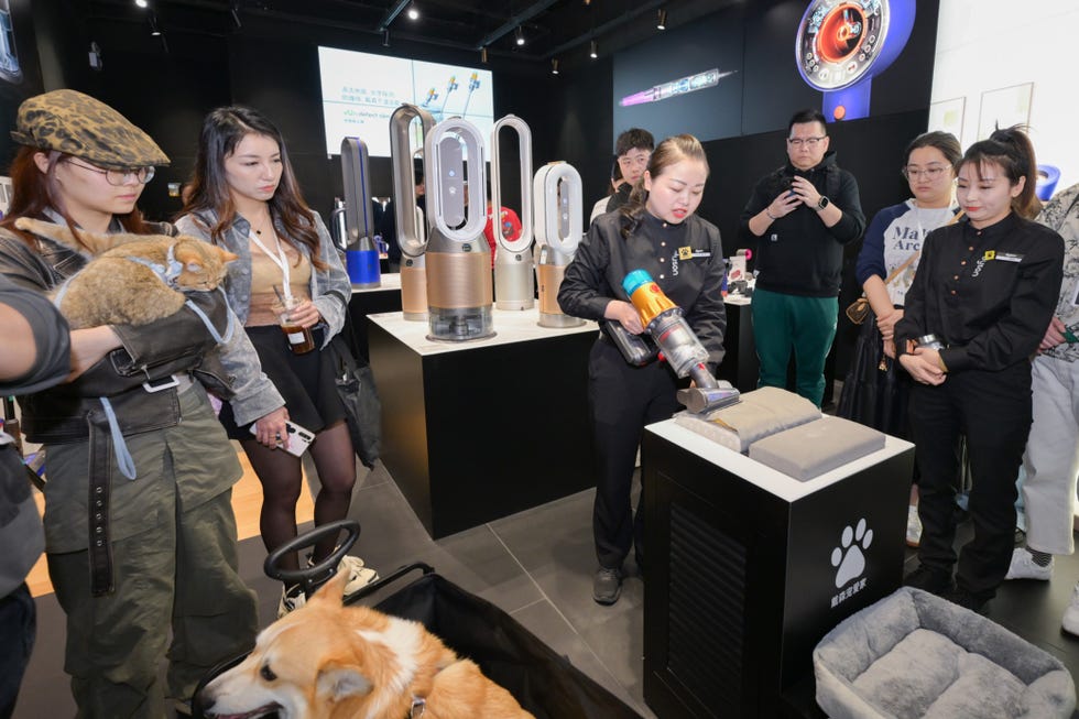 interactive display featuring cleaning products with audience participation