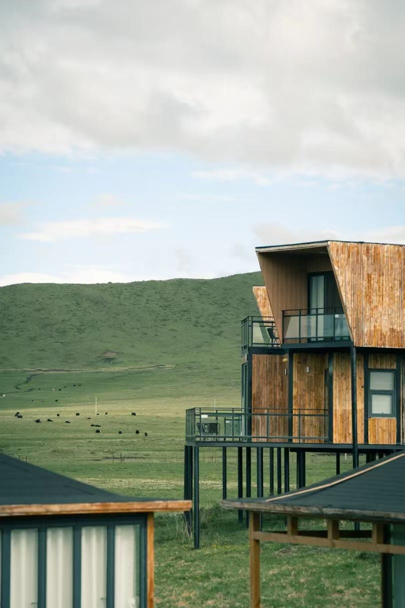 modern wooden cabins in a rural landscape with grazing cattle