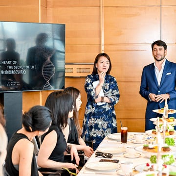 group presentation at a dining table with refreshments group presentation at a dining table with refreshments