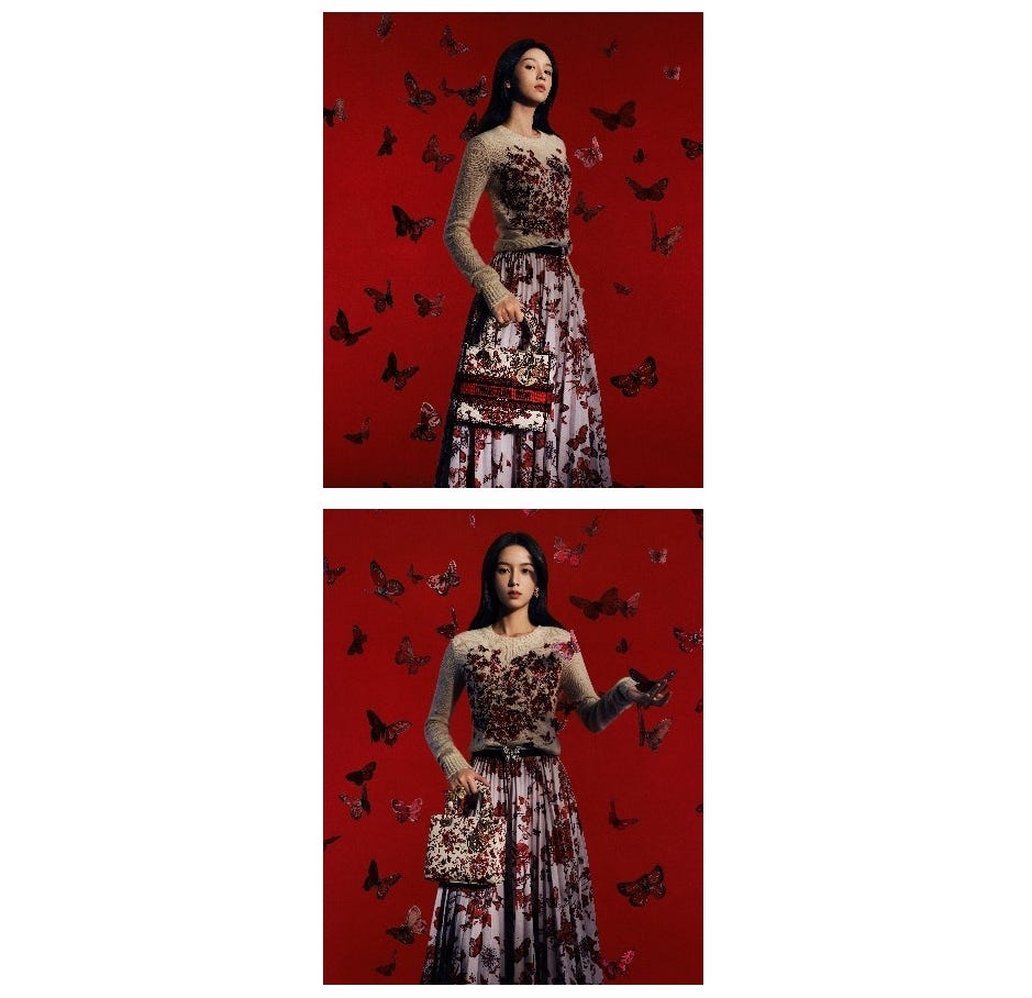 国内発送★即納！【Dior】ジャケット Le Coeur des Papillons 国内発送☆即納！【Dior】ジャケット Le Coeur des Papillons