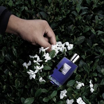 a person holding a purple lighter in a bush of flowers