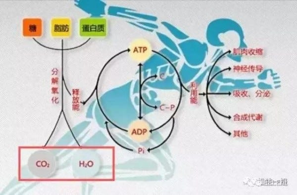 Diagram, Technology, Illustration, 