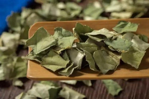 Leaf, Collard greens, Food, Plant, Leaf vegetable, Vegetable, Dish, Vegetarian food, Spinach, Comfort food, 